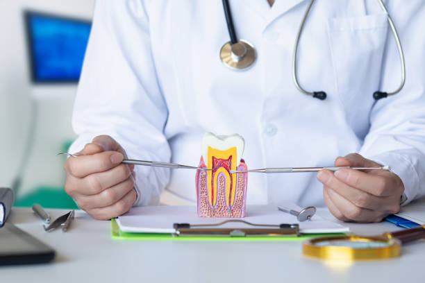 Best Emergency Root Canal Treatment in Wildwood, FL